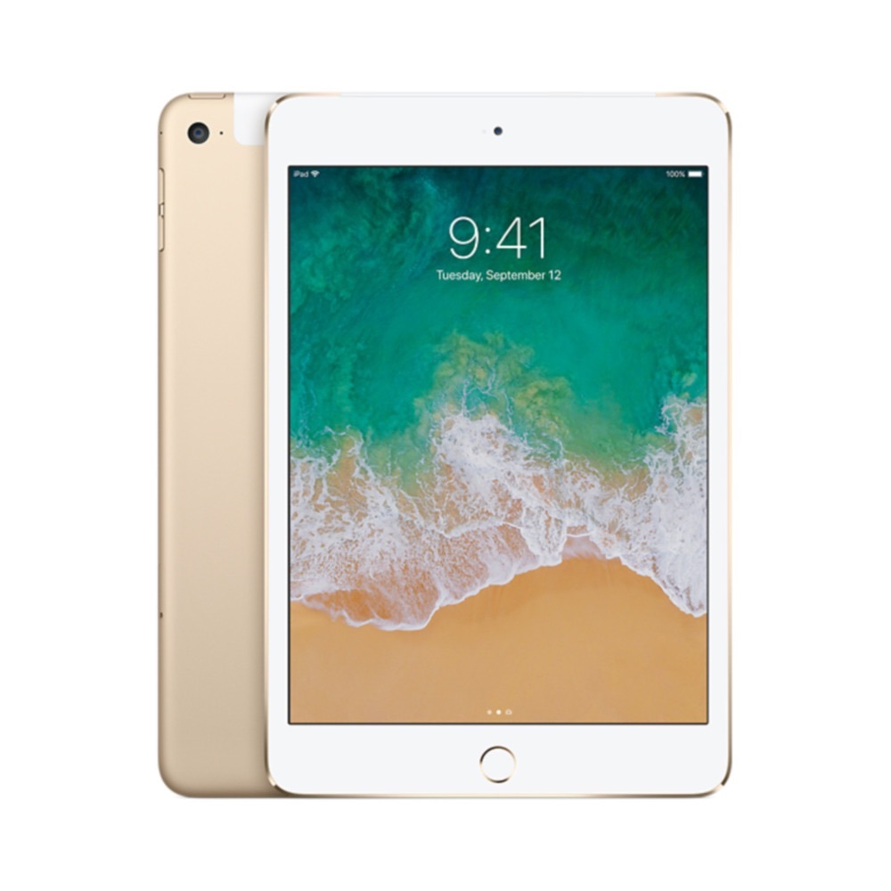 iPad Mini 4 with Zagg Case